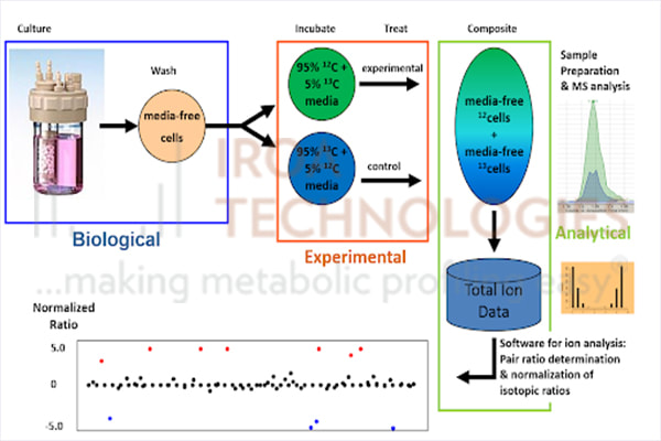 isotope labeling tools for metabolomics